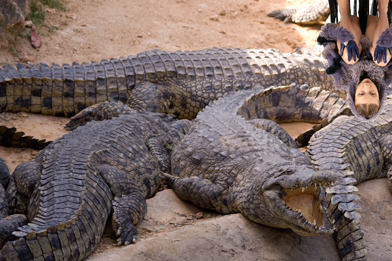 14_kroko